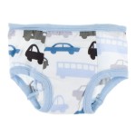 Training Pants Set in Natural Cars and Trucks and Pond Airplanes