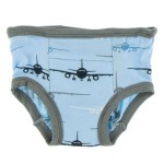 Training Pants Set in Natural Cars and Trucks and Pond Airplanes