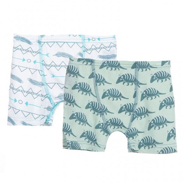 Boxer Briefs Set in Aloe Armadillo and Natural Southwest