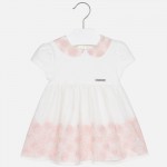 Baby Girl Embroidered Tulle Short Sleeve Dress