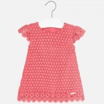 Baby Girl Lace Dress 