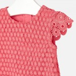Baby Girl Lace Dress 