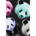 Girls Pastel Panda Leggings