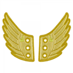 Gold Foil Wings - Lace 
