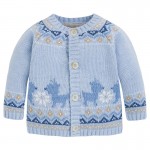 SKY BLUE KNIT CARDIGAN 