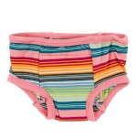 Training Pants Set in Strawberry Cactus and Cancun Strawberry Stipe Training Pants Set in Strawberry Cactus and Cancun Strawberry Stipe