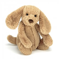 Bashful Toffee Puppy  Bashful Toffee Puppy