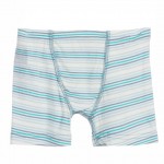 Boxer Briefs Set in Dusty Cactus Sky and Boy Desert Stripe