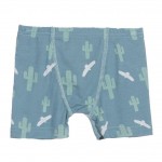 Boxer Briefs Set in Dusty Cactus Sky and Boy Desert Stripe