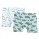 Boxer Briefs Set in Aloe Armadillo and Natural Southwest