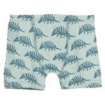 Boxer Briefs Set in Aloe Armadillo and Natural Southwest