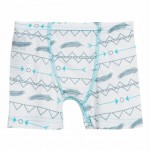 Boxer Briefs Set in Aloe Armadillo and Natural Southwest