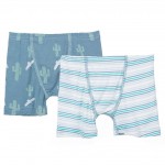 Boxer Briefs Set in Dusty Cactus Sky and Boy Desert Stripe