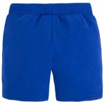 Blue Casual Stretch Shorts