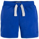 Blue Casual Stretch Shorts