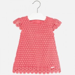 Baby Girl Lace Dress  Baby Girl Lace Dress
