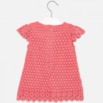 Baby Girl Lace Dress 