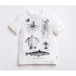 Ben Graphic Tee - Creme 