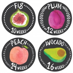 Growing Garden Belly Stickers 