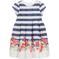 Floral and Striped Dress 